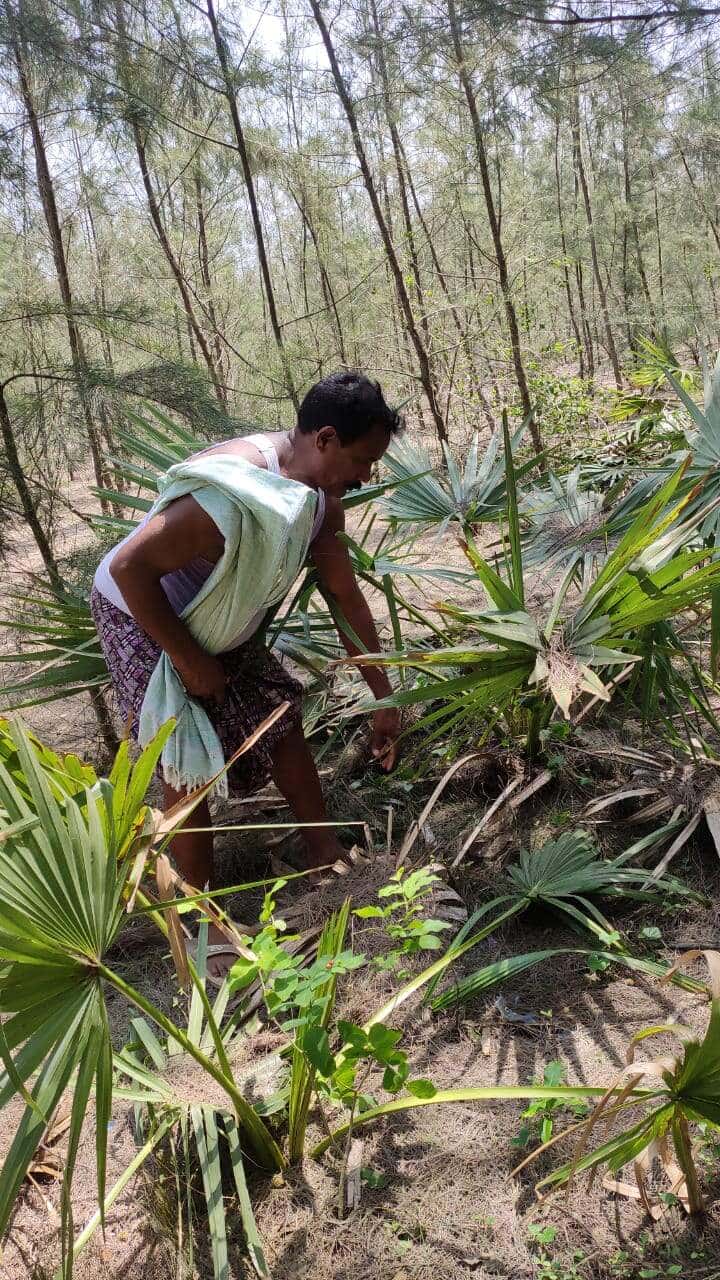 Odisha