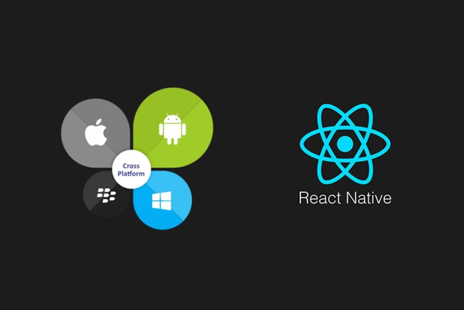 React for cross-platform mobile apps