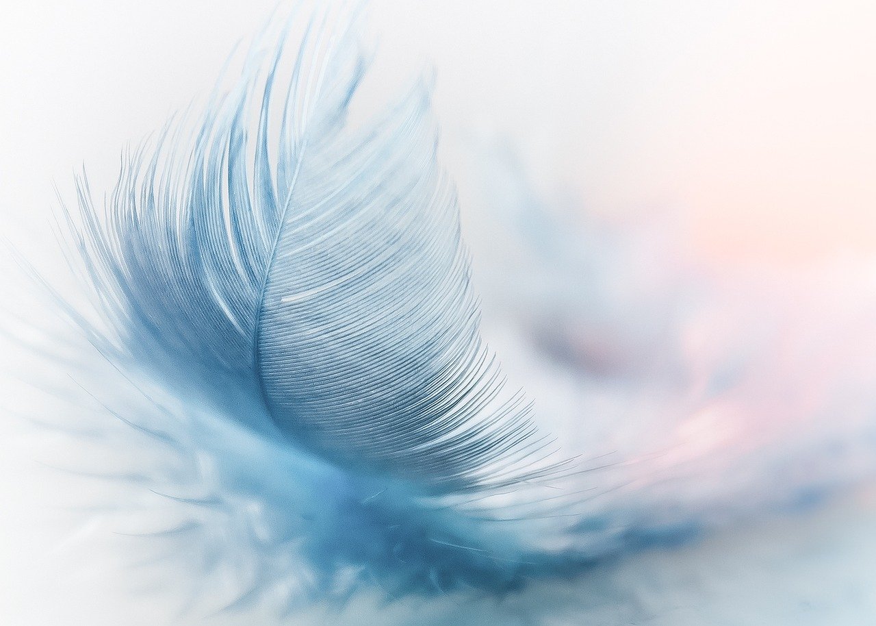 feathers
